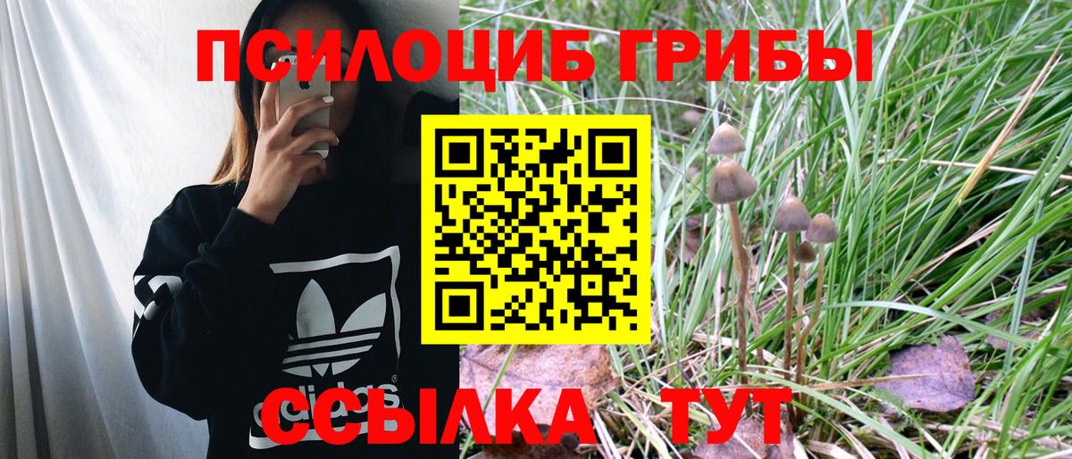 Галлюциногенные грибы MAGIC MUSHROOMS  Псилоцибиновые грибы прущие грибы  наркошоп  Вход с VPN  Ялта 